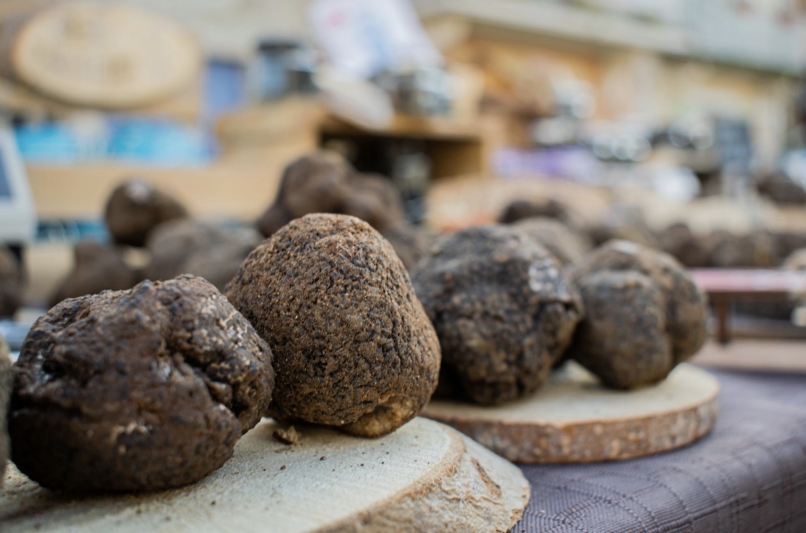 Truffes en Drôme Provençale, Lauzon dans la Drôme.