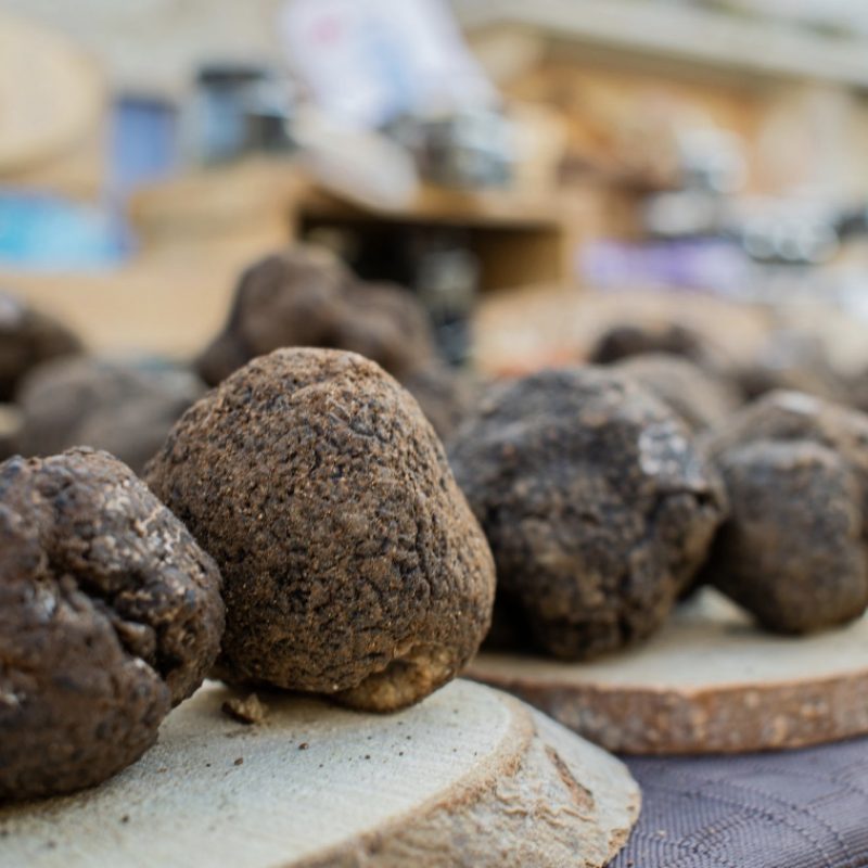 Truffes en Drôme Provençale, Lauzon dans la Drôme.